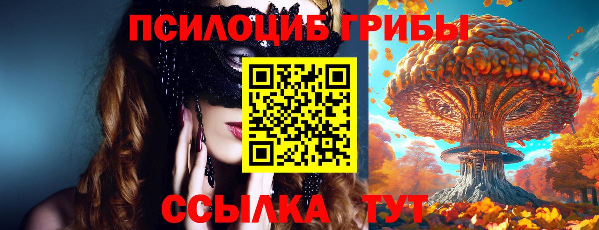 Галлюциногенные грибы Cubensis Сызрань