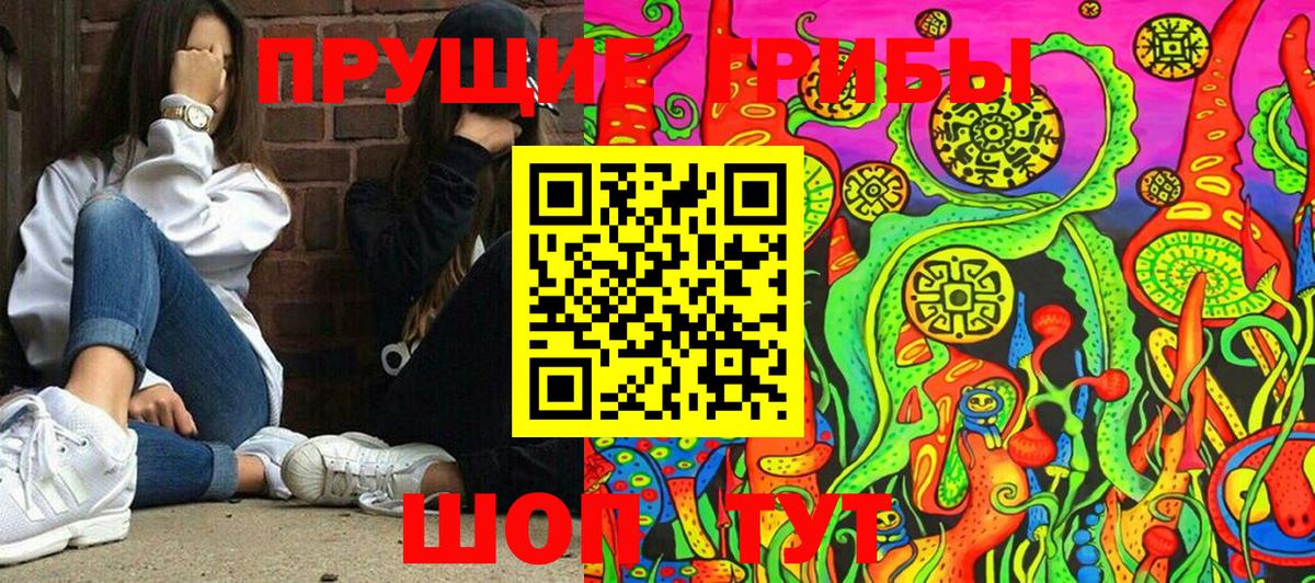 Галлюциногенные грибы прущие грибы  Псилоцибиновые грибы Psilocybe  Сызрань  где купить наркоту  Вход с VPN 